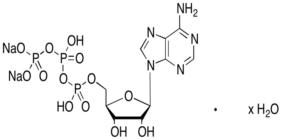 adenosine triphosphate disodium T