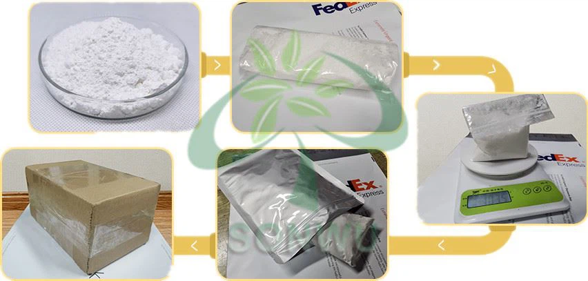 Dyclonine hydrochloridee Dyclonine hydrochloridee