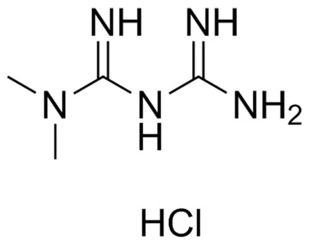Metformin Hcl Powder2.2