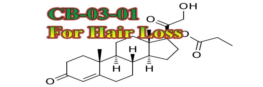 CB-03-01 MF