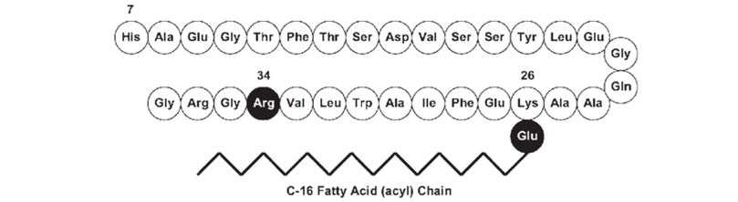 Structure-of-liraglutide