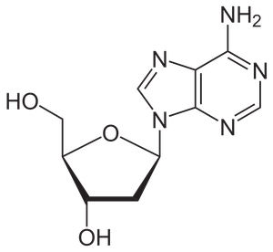 Desoxyadenosinsvg Desoxyadenosinsvg