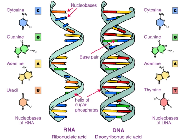 QQ20230803150743 QQ20230803150743