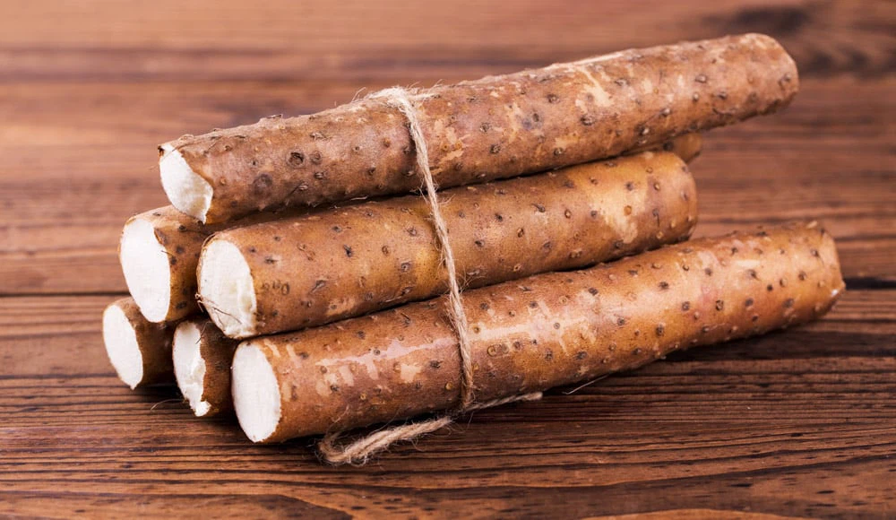 chinese yam