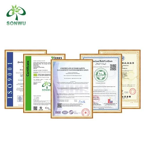 GABA Powder 2