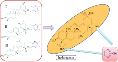 Hederagenin structure