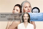 وقتی سطوح NAD+ کاهش می یابد چه اتفاقی می افتد؟ دانشمندان NMN و فرآیند پیری را...