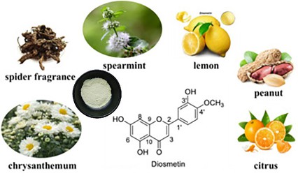 70Diosmetin powder 70Diosmetin powder