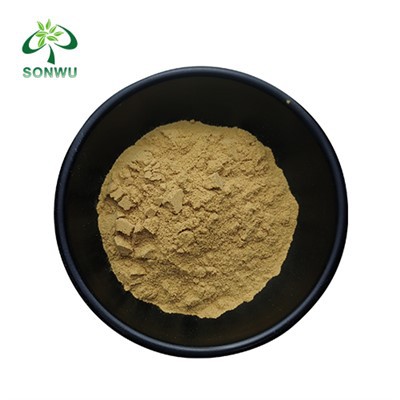 پودر عصاره Coleus Forskohlii